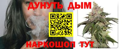 крисы Славянск-на-Кубани