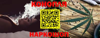 крисы Славянск-на-Кубани