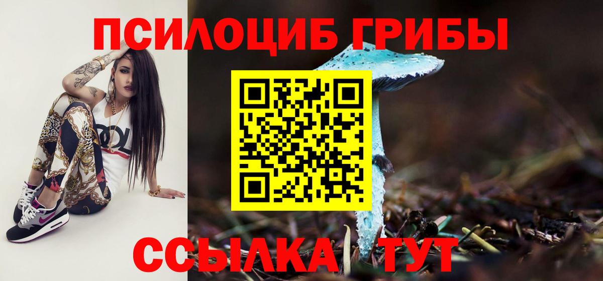 Прокопьевск  Галлюциногенные грибы Magic Shrooms  Вход с VPN 